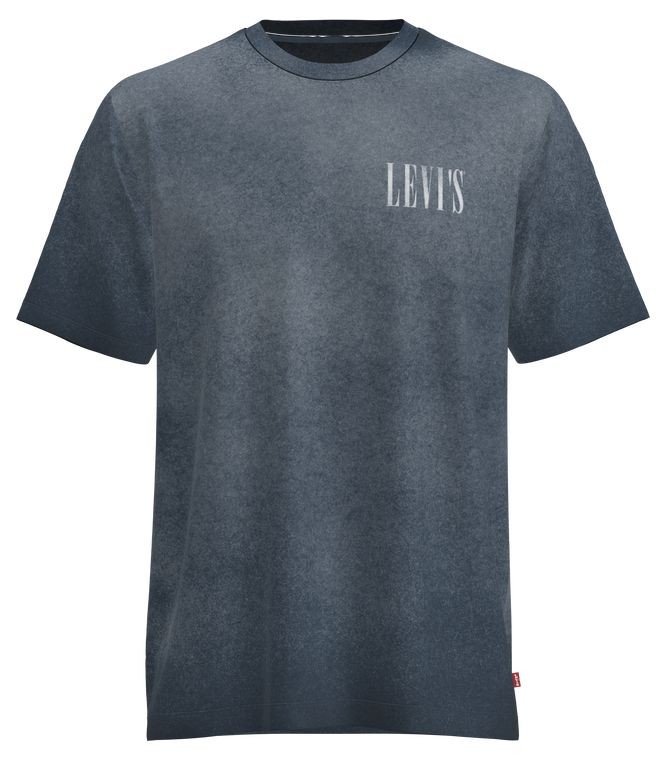 Levis ss relaxed fit tee distressed  serif big